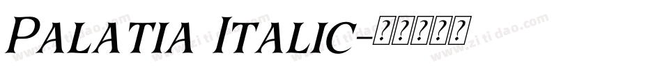 Palatia Italic字体转换